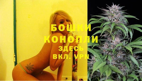 эйфоретик Белокуриха